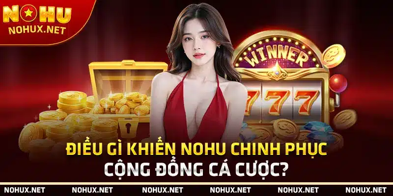 Điều Gì Khiến Nohu Chinh Phục Cộng Đồng Cá Cược?